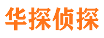 桃江市私人调查